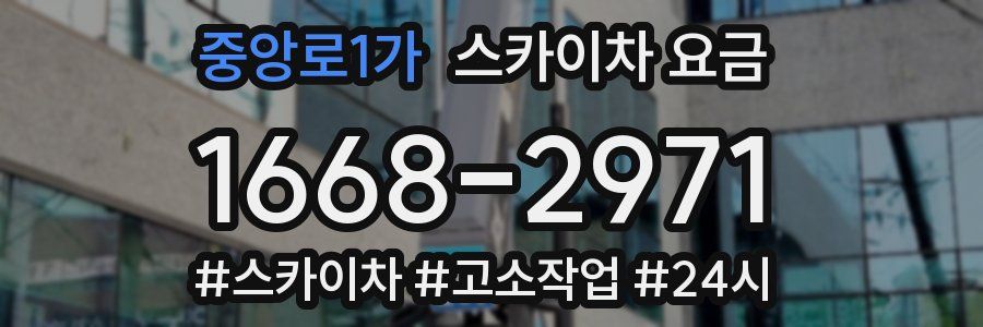 중앙로1가 스카이차 요금