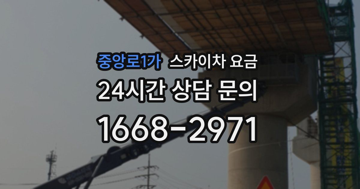 중앙로1가 스카이차 요금