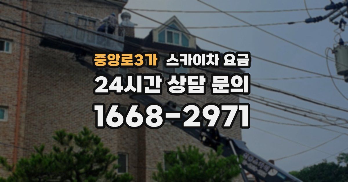 중앙로3가 스카이차 요금