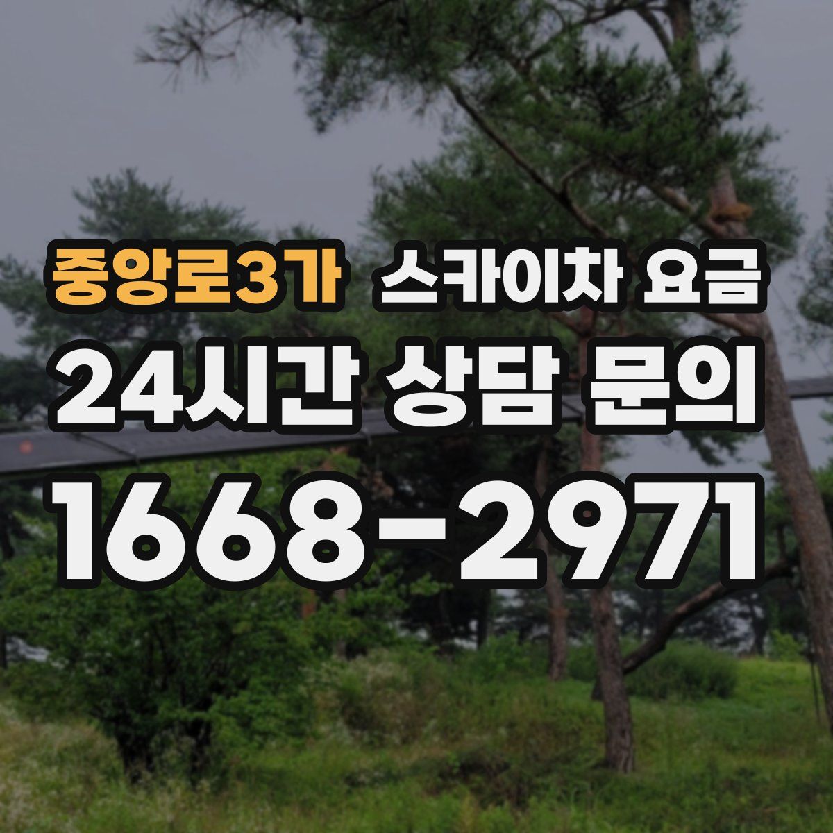 중앙로3가 스카이차 요금