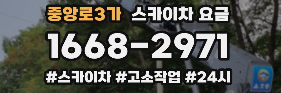 중앙로3가 스카이차 요금