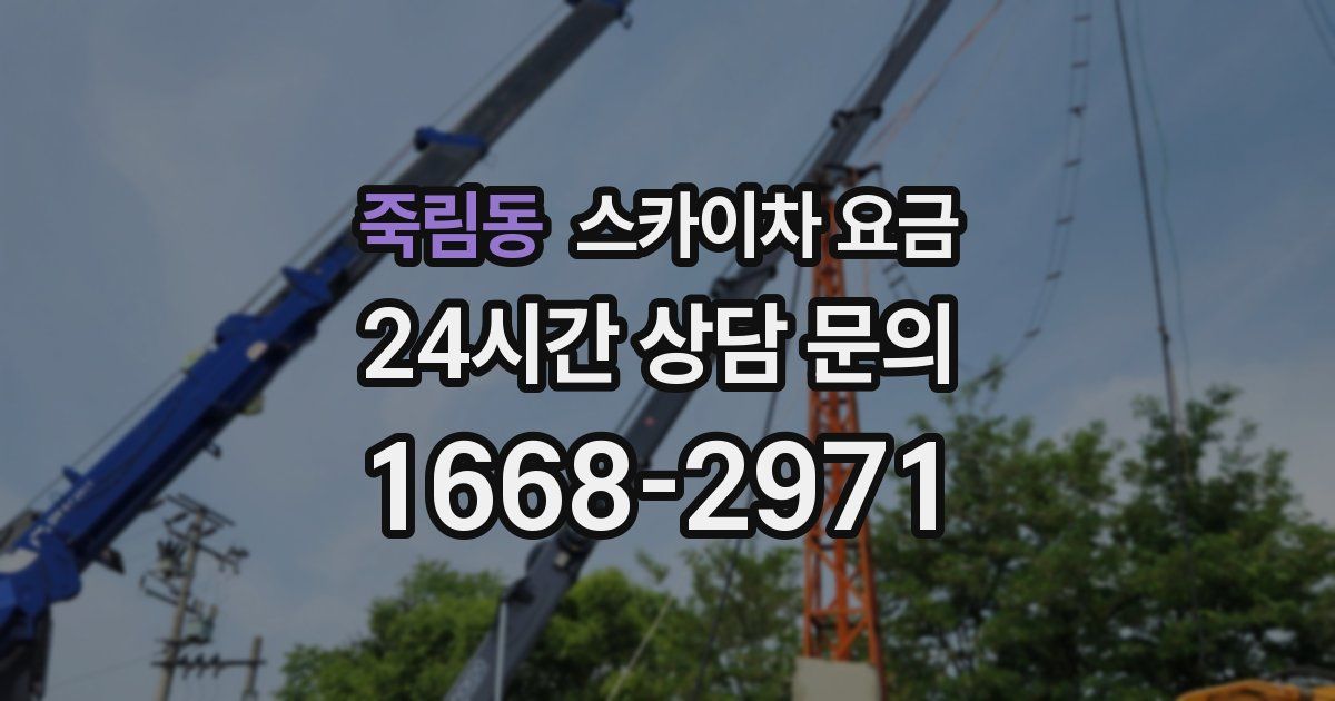 죽림동 스카이차 요금