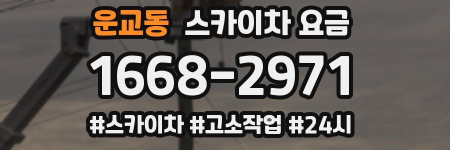 운교동 스카이차 요금