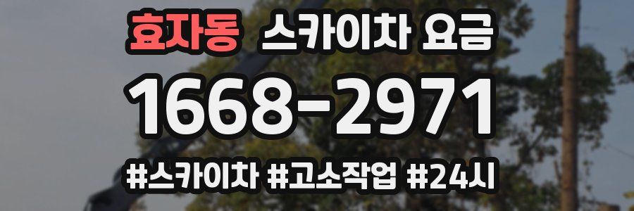 효자동 스카이차 요금