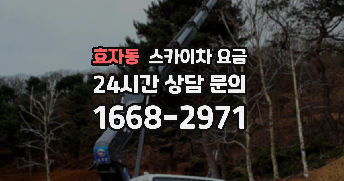 효자동 스카이차 요금