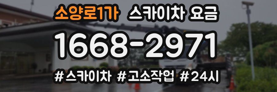 소양로1가 스카이차 요금
