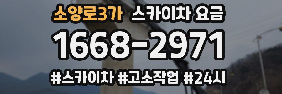 소양로3가 스카이차 요금