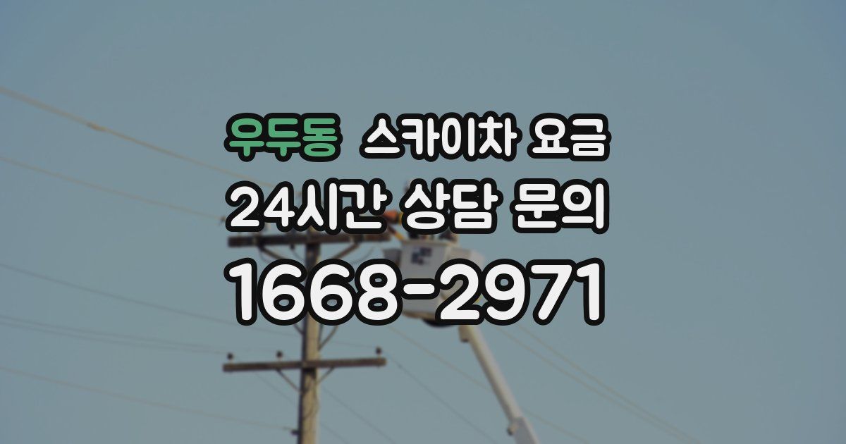우두동 스카이차 요금