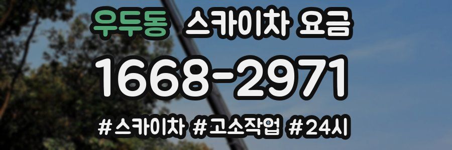 우두동 스카이차 요금