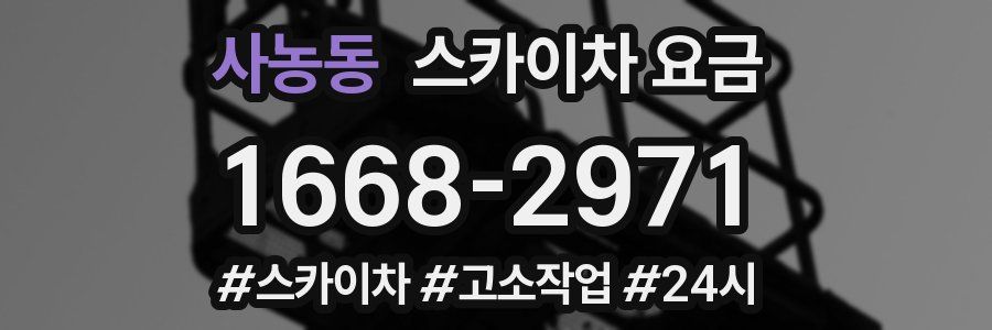사농동 스카이차 요금