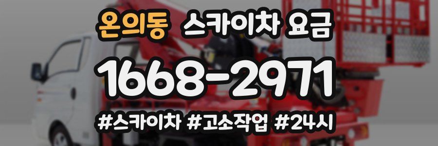 온의동 스카이차 요금