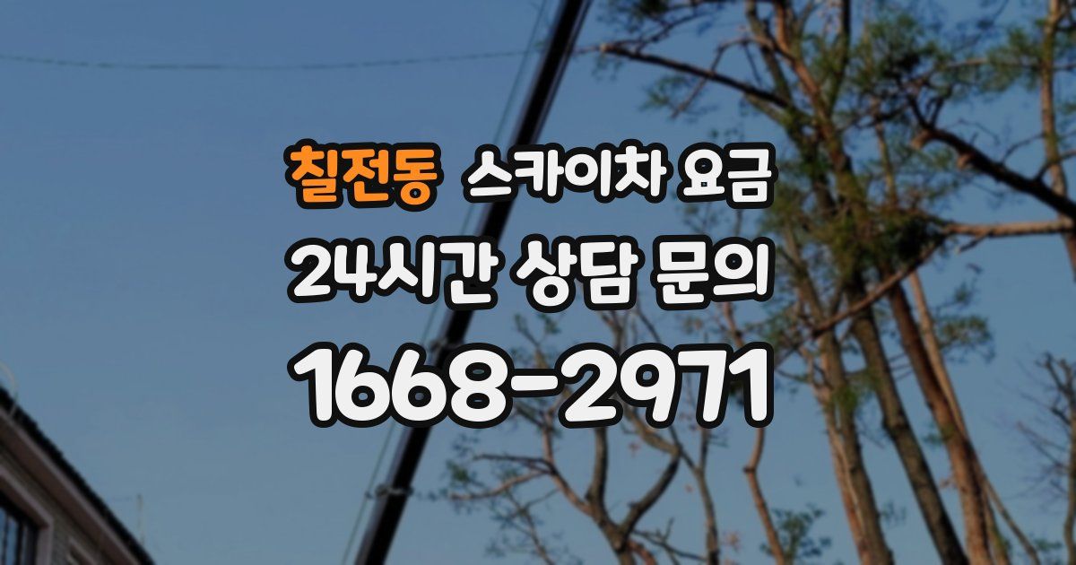 칠전동 스카이차 요금