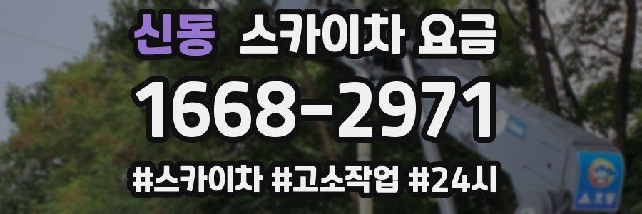 신동 스카이차 요금