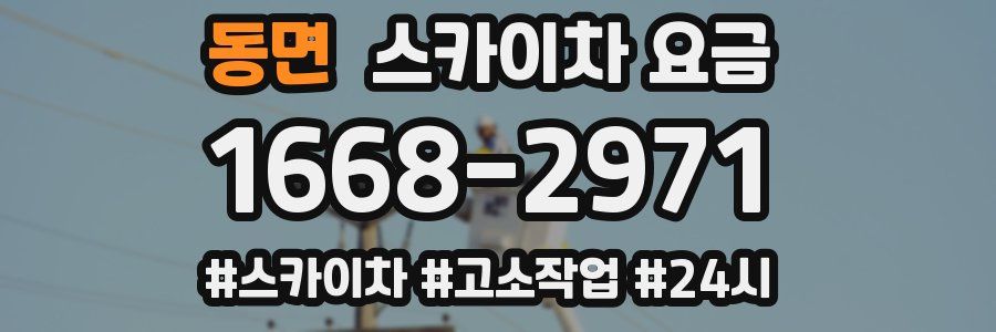 동면 스카이차 요금