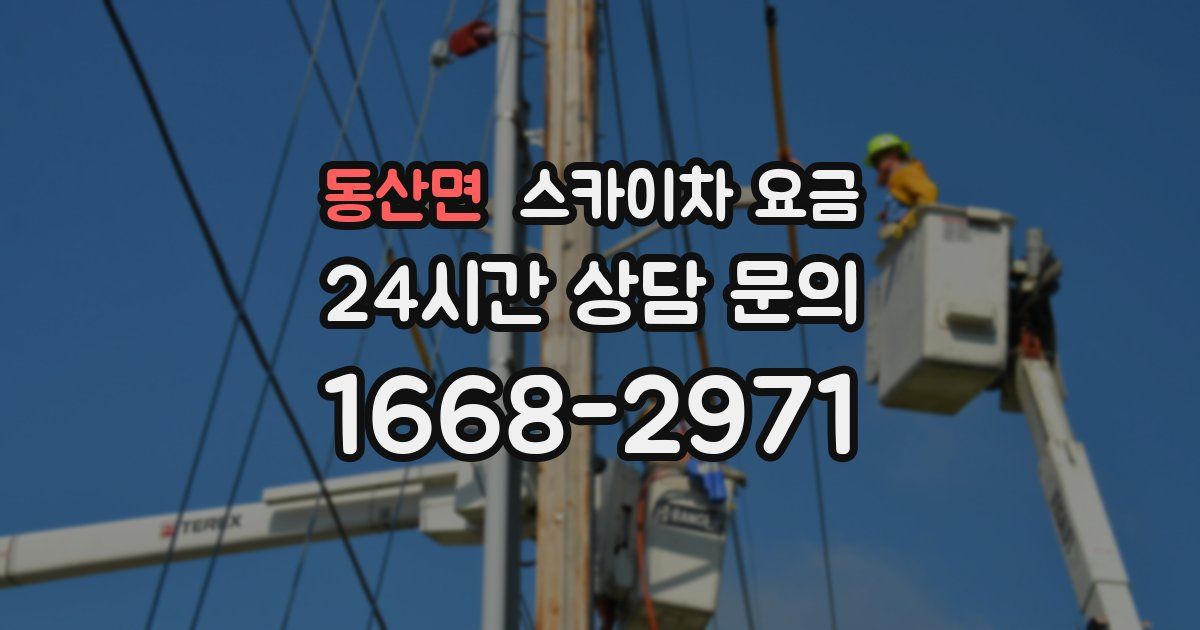 동산면 스카이차 요금