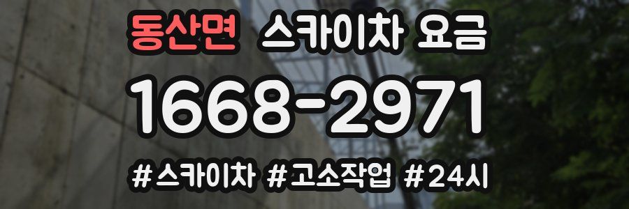 동산면 스카이차 요금