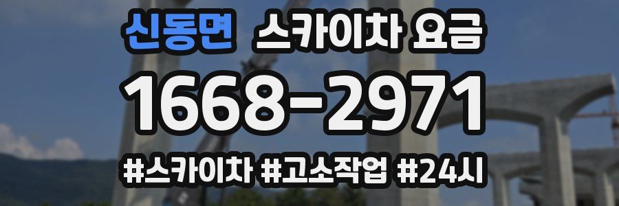 신동면 스카이차 요금