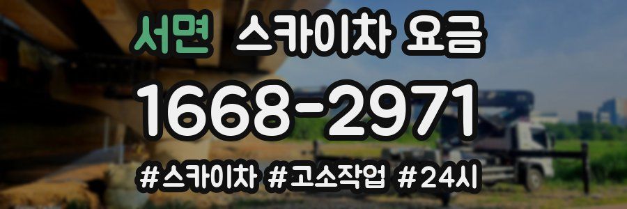 서면 스카이차 요금
