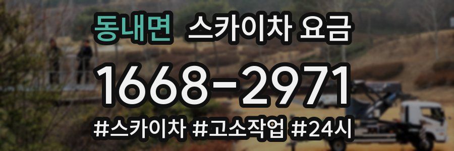 동내면 스카이차 요금
