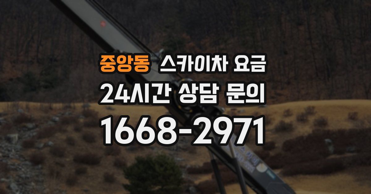 중앙동 스카이차 요금