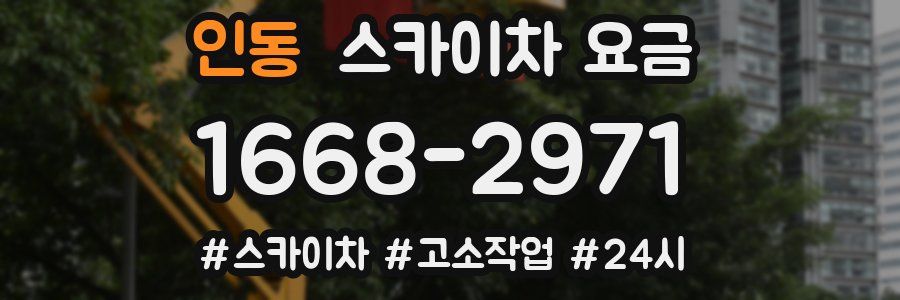 인동 스카이차 요금