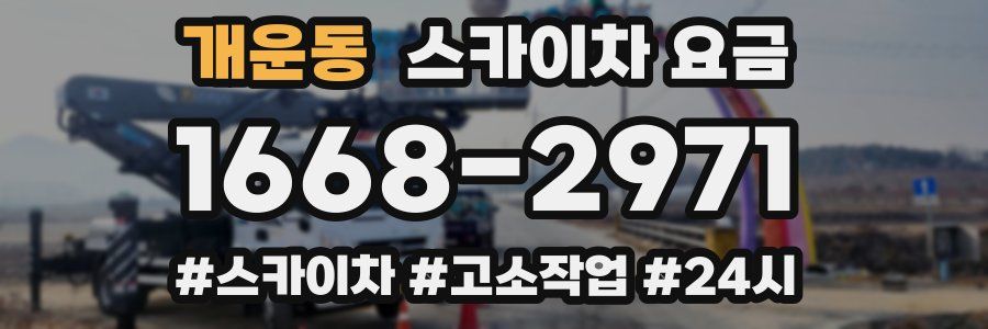 개운동 스카이차 요금