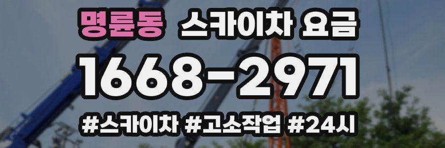 명륜동 스카이차 요금