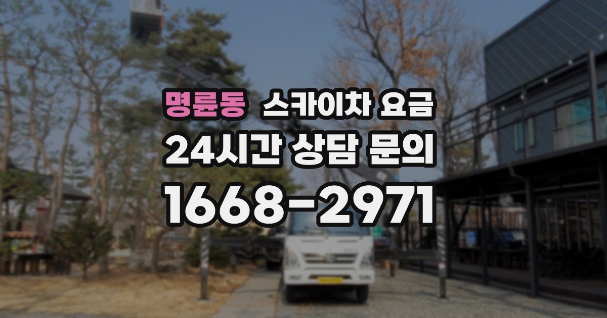 명륜동 스카이차 요금