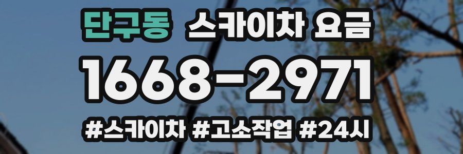 단구동 스카이차 요금
