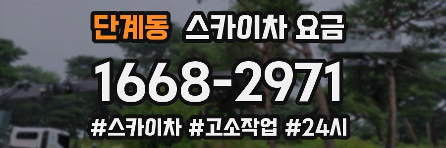 단계동 스카이차 요금