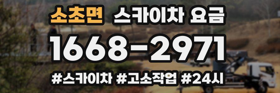소초면 스카이차 요금
