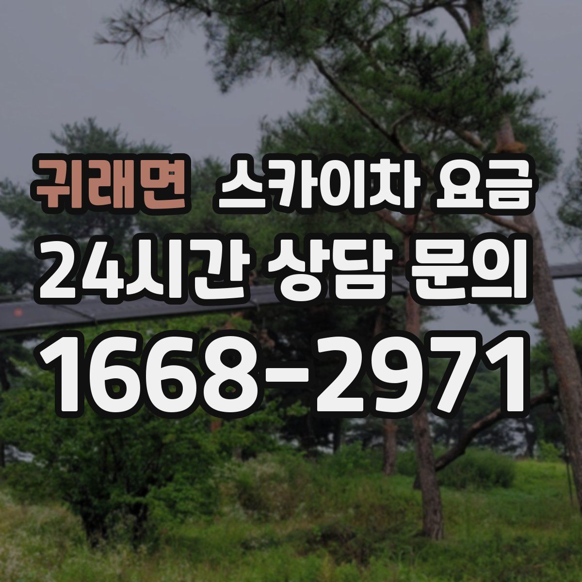 귀래면 스카이차 요금
