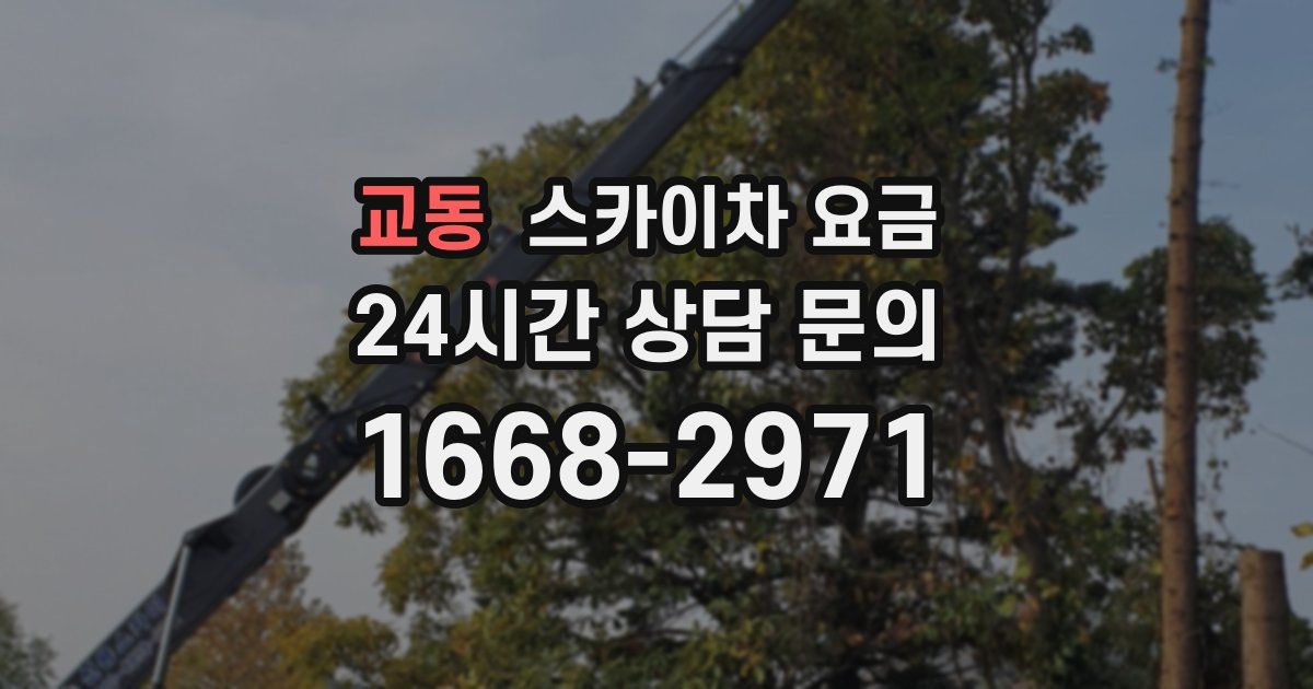 교동 스카이차 요금