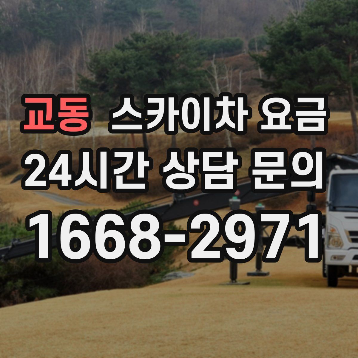 교동 스카이차 요금