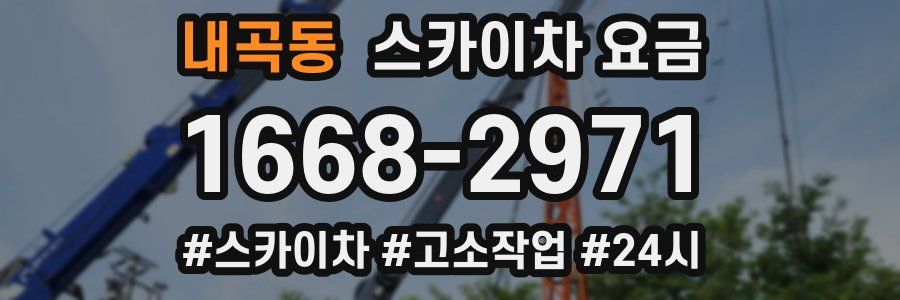 내곡동 스카이차 요금
