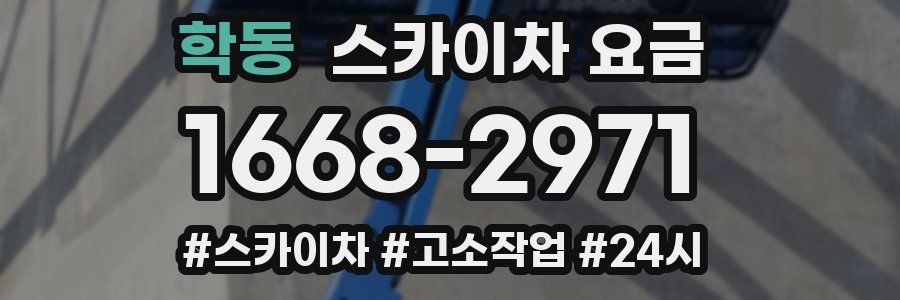 학동 스카이차 요금