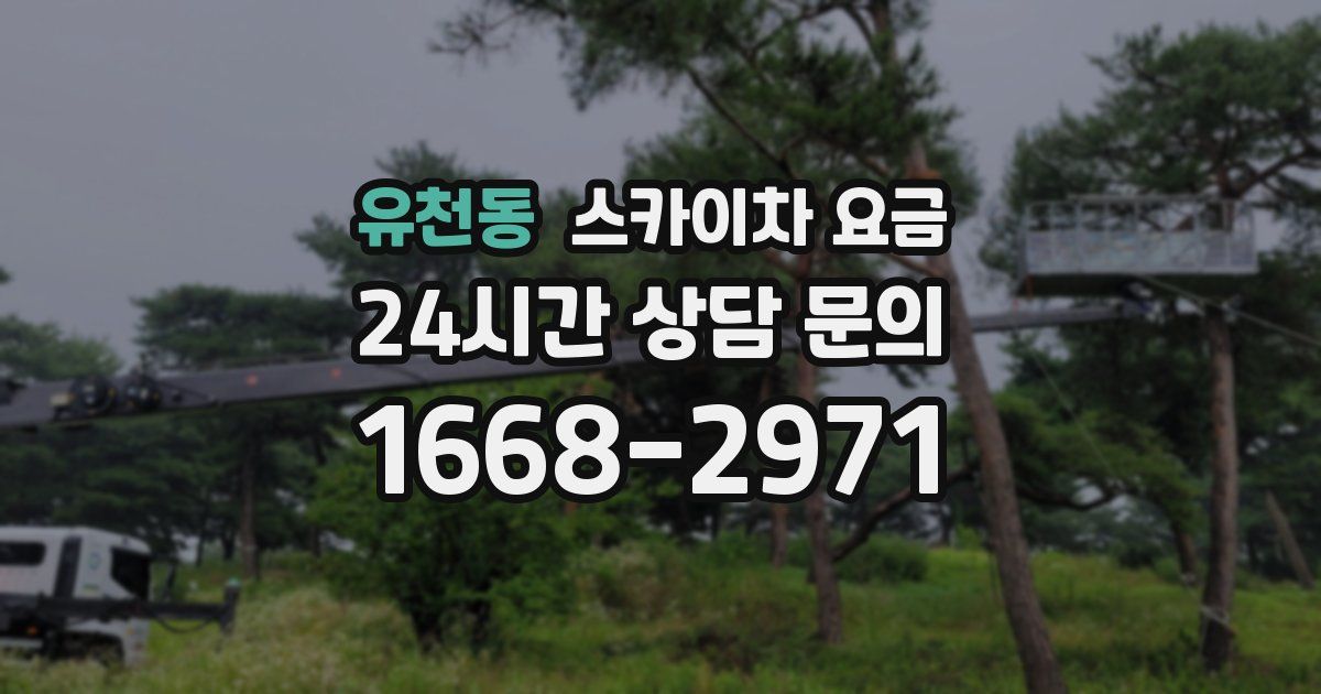 유천동 스카이차 요금