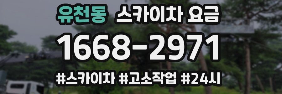 유천동 스카이차 요금