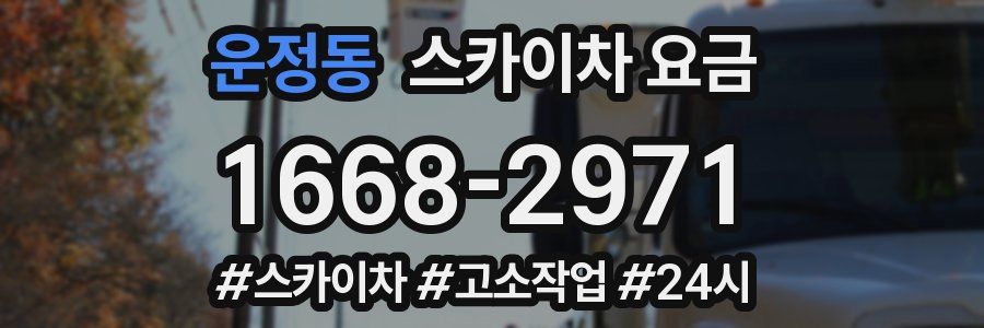 운정동 스카이차 요금