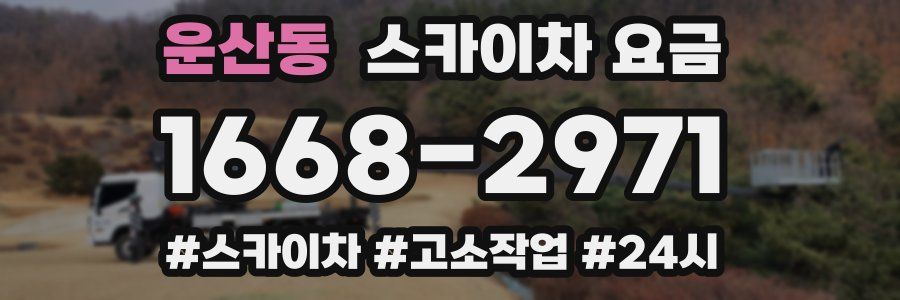운산동 스카이차 요금