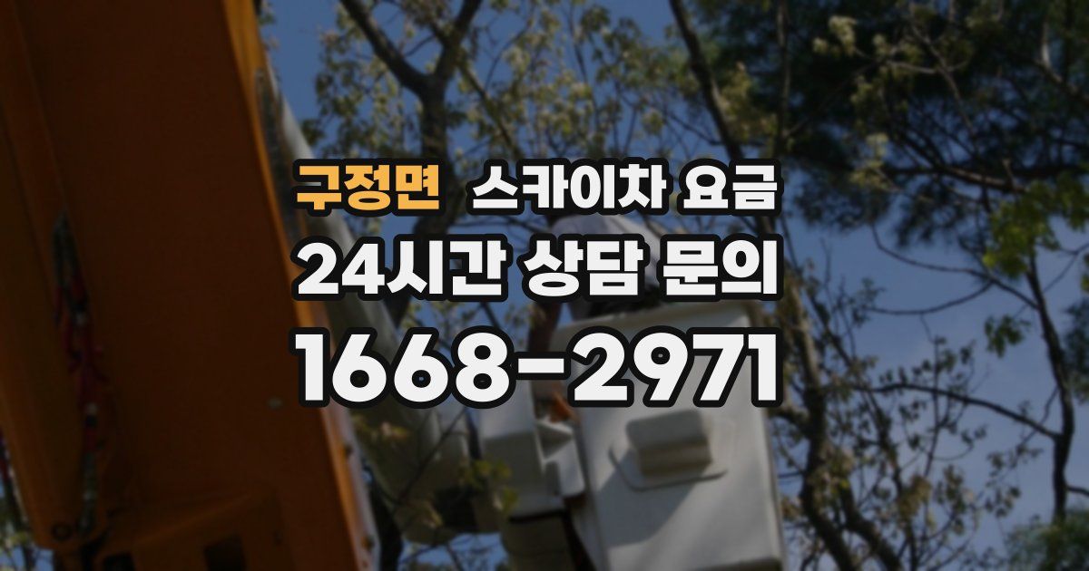 구정면 스카이차 요금