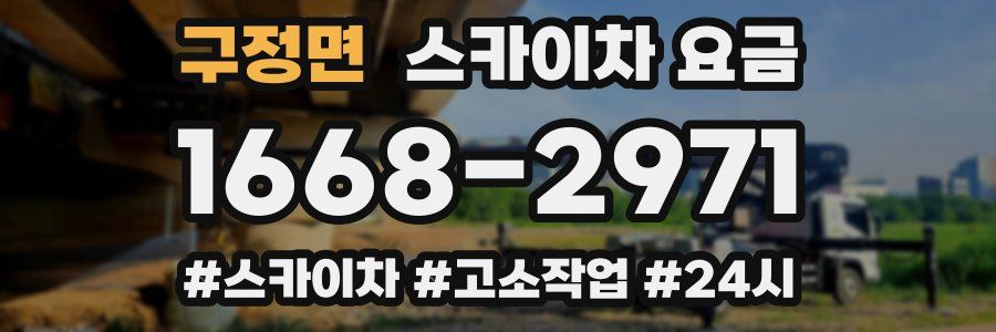 구정면 스카이차 요금