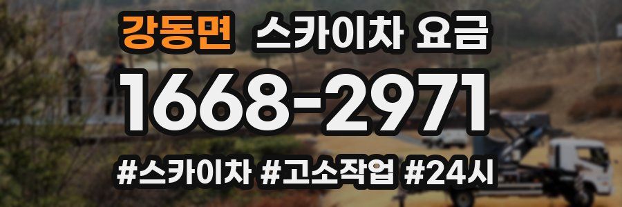 강동면 스카이차 요금