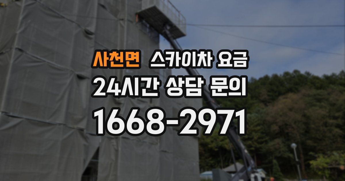 사천면 스카이차 요금