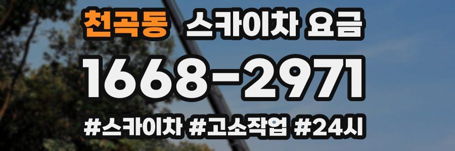 천곡동 스카이차 요금