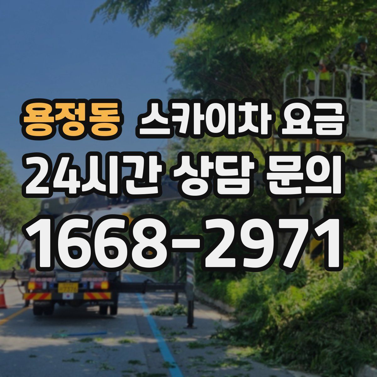 용정동 스카이차 요금