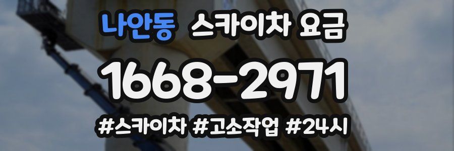 나안동 스카이차 요금