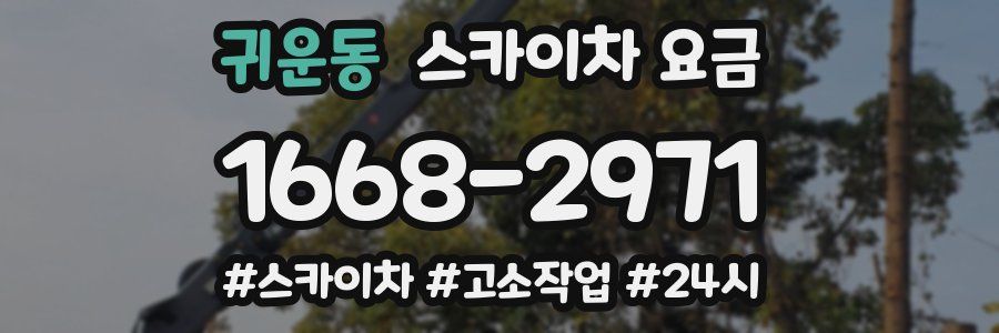 귀운동 스카이차 요금