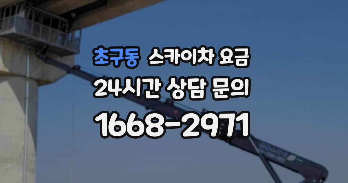 초구동 스카이차 요금