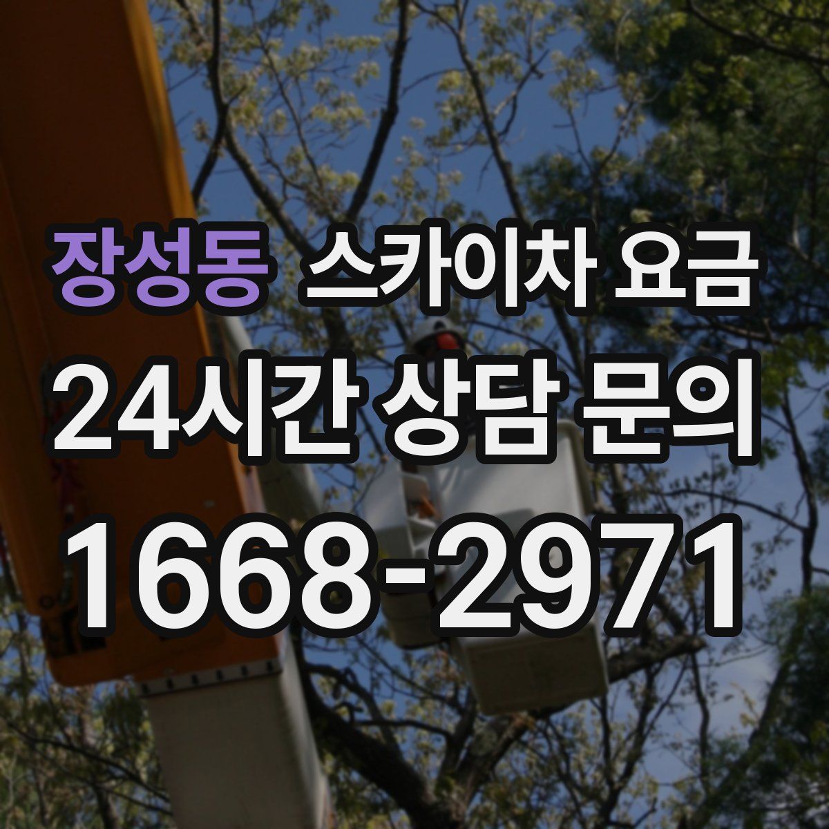 장성동 스카이차 요금